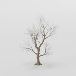Thin Rottenpine