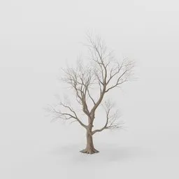 Thin Rottenpine