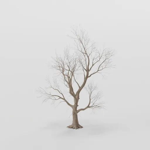 Thin Rottenpine