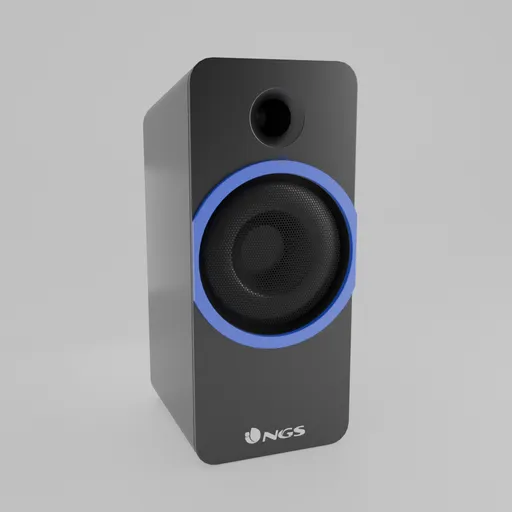 NGS Speaker