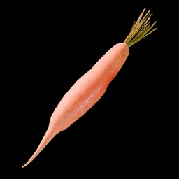 Carrot