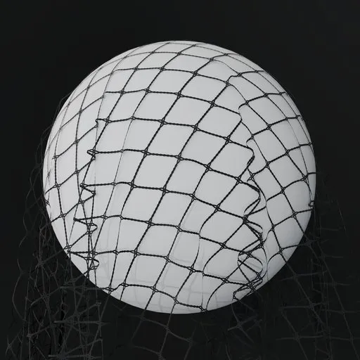 Lace Fishnet