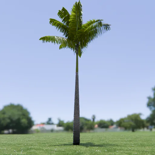 Imperial Palm Tree Animated