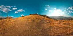 Dry Tall Grass Knoll