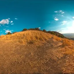 Dry Tall Grass Knoll