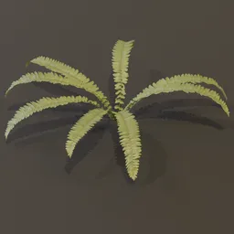 Hart Tongue Fern Smal