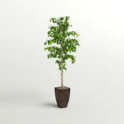 Tall Faux Plant in Woven Pot