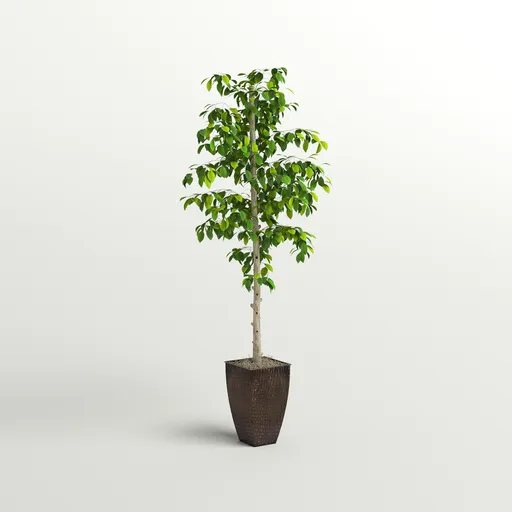 Tall Faux Plant in Woven Pot