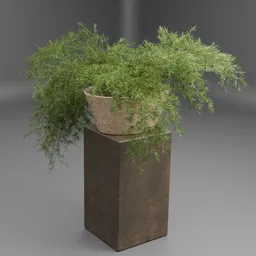 Potted Bamboo Plant