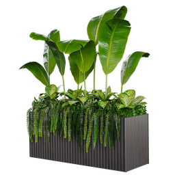 Indoor Plant box01