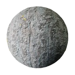 Tree Bark with Lichens