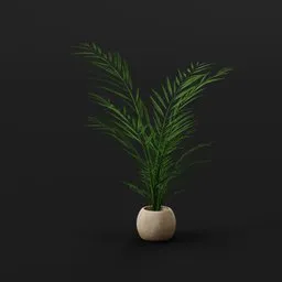 Minimal Palm Plant Pot