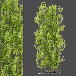 Dense Ivy Column