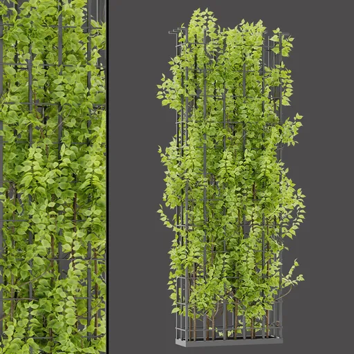 Dense Ivy Column