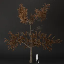 SJ-Silent Grove Pine Tree