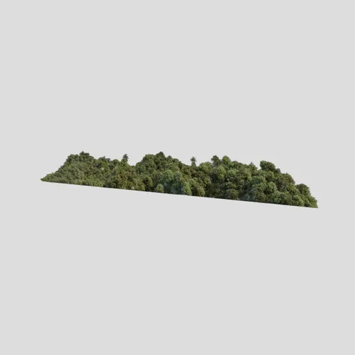 Forest Background