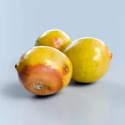 Rotten Lemon