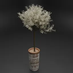 Decorative Indoor Potted Tree Plant