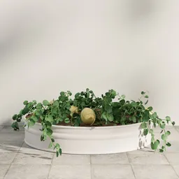 Cantaloupe Garden Planter