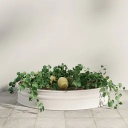 Cantaloupe Garden Planter