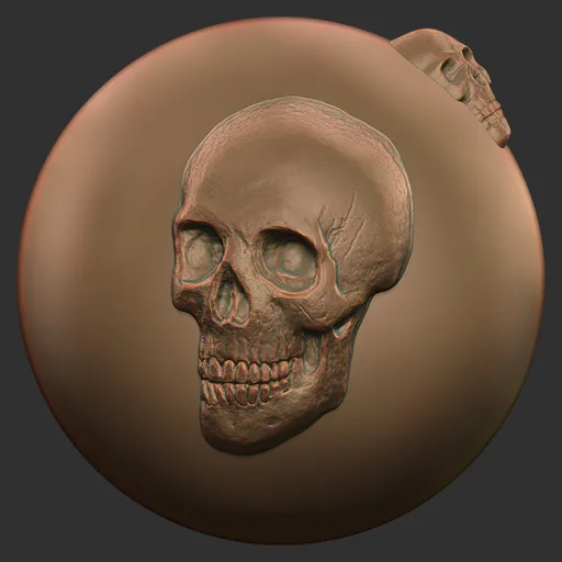 Skull Side View