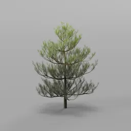 Realistic 3D Tree