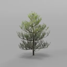 Realistic 3D Tree