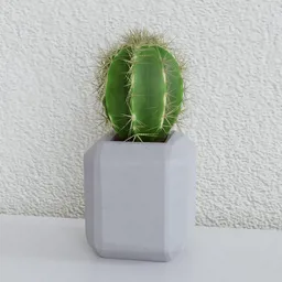 3D rendered cactus in a geometric pot, optimized for indoor scenes, requires setting transparency in Blender 3D.