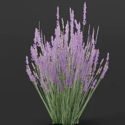 Detailed 3D model of a small lavender flower, ideal for Blender scenes, game assets, and realistic outdoor environments.