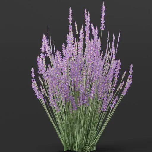 Detailed 3D model of a small lavender flower, ideal for Blender scenes, game assets, and realistic outdoor environments.