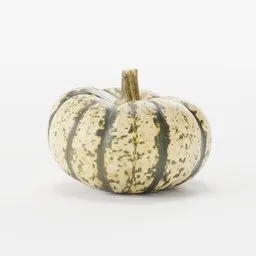 "3D scanned pumpkin model with 4K textures for use in Blender 3D software. Perfect for fruit and vegetable scenes and product display photography. Created by ShareTextures.com."