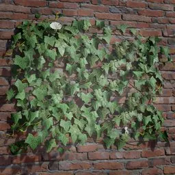 Detailed 3D ivy model for Blender, high-quality texture, perfect for game asset or virtual scene enhancement.