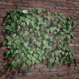 Ivy Creeper Tile 1M 02 02