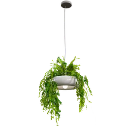 Pendant light with plants c