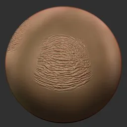 ER_Human Skin(K) 46