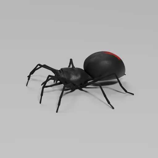 Black Spider
