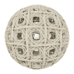 Venus' Flower Basket