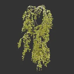 Wall Hanging Autumn Plant