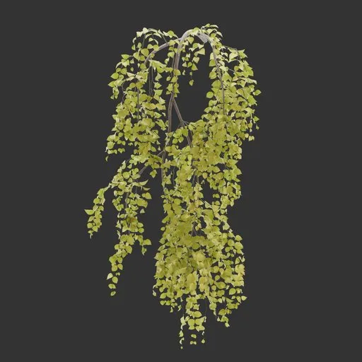 Wall Hanging Autumn Plant