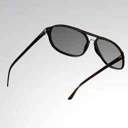 Tom Ford Sunglasses