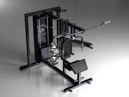 Multi-Function Gym Machine