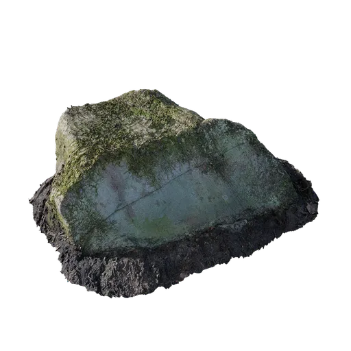 Mossy Rock