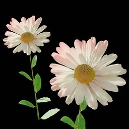 Realistic Small Flower