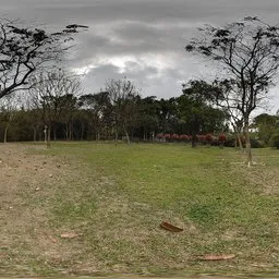 Cloudy, overcast, grassy area, HDR