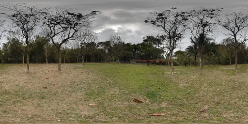 Cloudy, overcast, grassy area, HDR