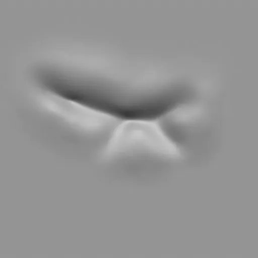 ER_Muscle brush 113