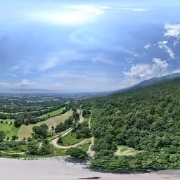 Highsky green forest