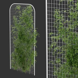 Fence Ivy Simple Plant AQ