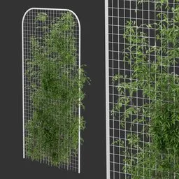 Fence Ivy Simple Plant AQ