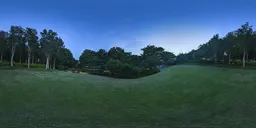Hill grass at night